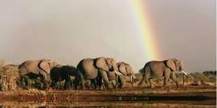 a grandeza da natureza