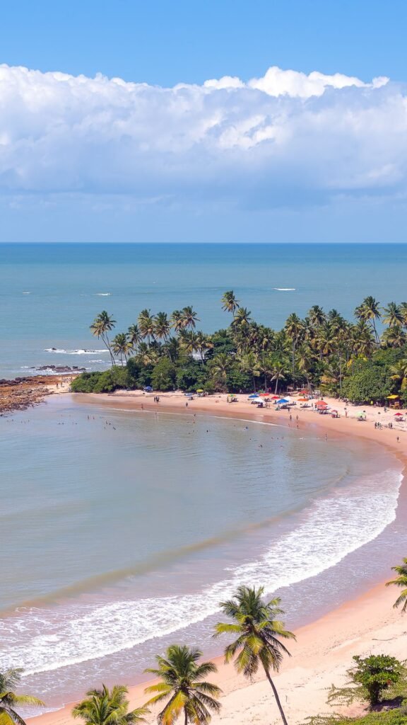 Mundo das Palavras Viagem Poetica na Paraiba